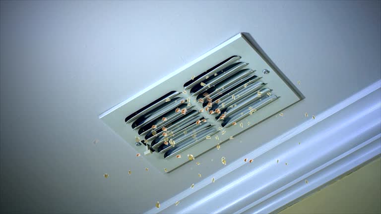 Best HVAC System Cleaning  in Grundy, VA